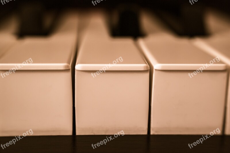 Piano Keys Piano Keys Piano Keyboard Music