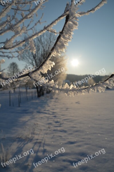 Eiskristalle Winter Magic Cold Frozen Winter