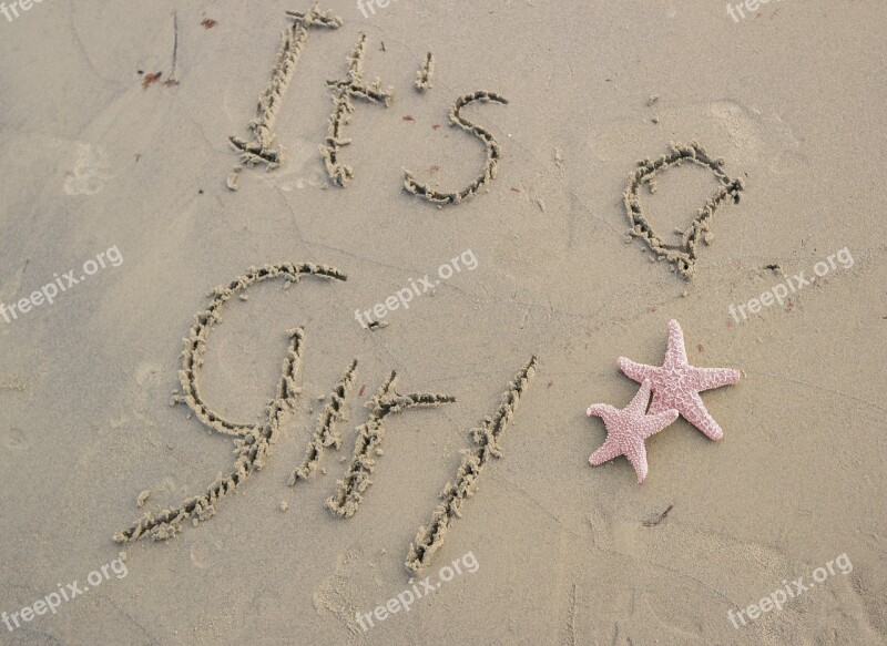 Sand Starfish Pink Beach Words