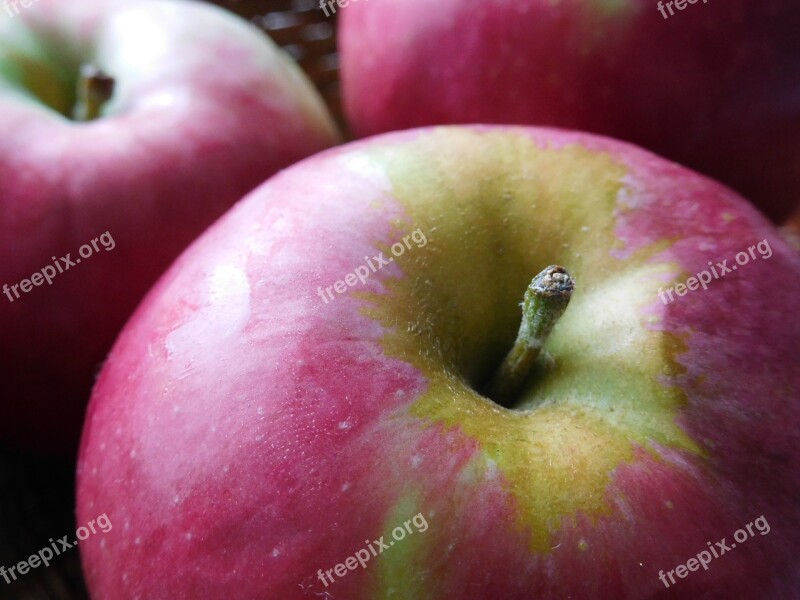 Apples Fruits Red Apples Harvest Fresh Fruit