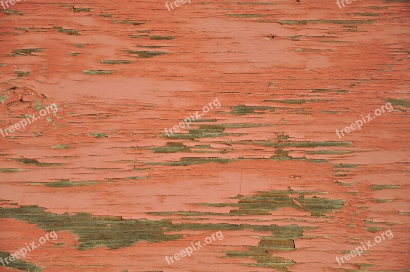 Background Peach Color Texture Decoration Color