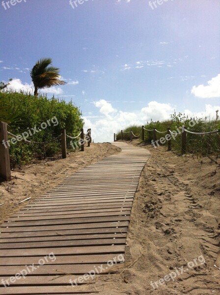 Miami Beach Sand Summer Miami Beach