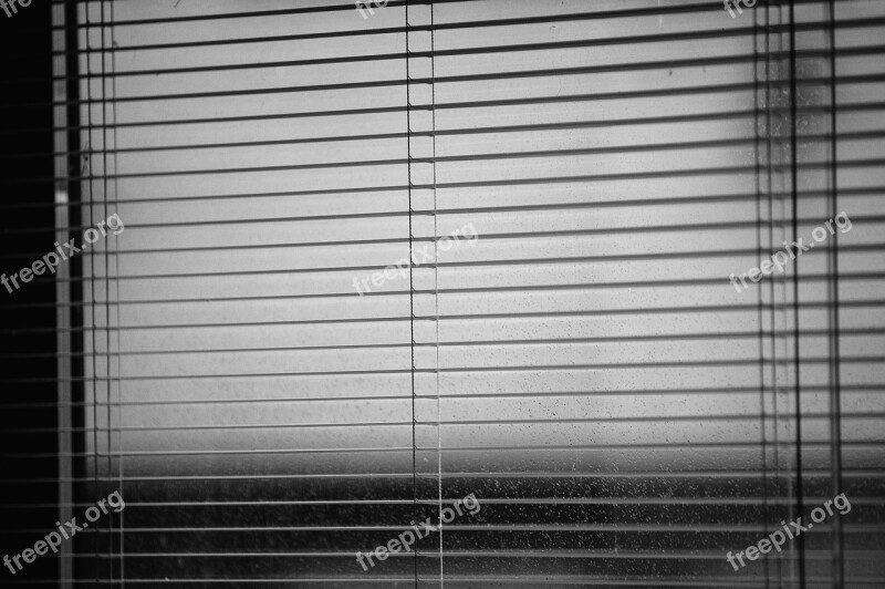 Venetian Blinds Rainy Weather Dark Time Drops Window