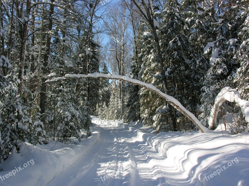 Snow Sun Winter Trail Cold