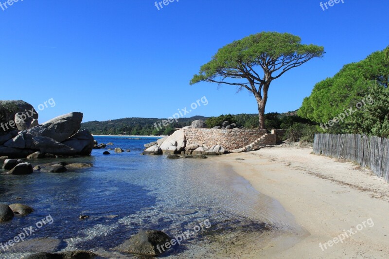 Sea Beach Corsican Shore Tree Landcape