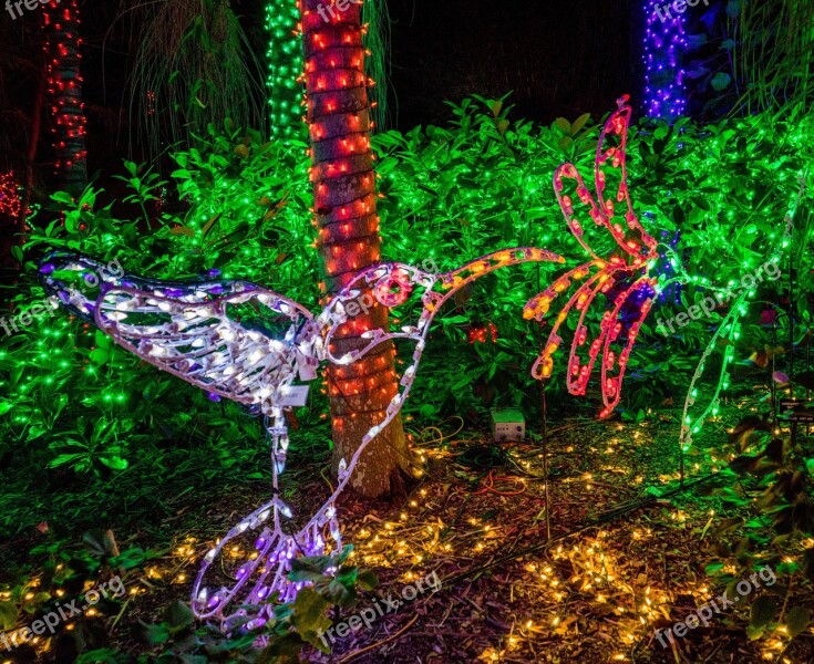 Holiday Decorations Botanical Gardens Hummingbirds Florida Christmas