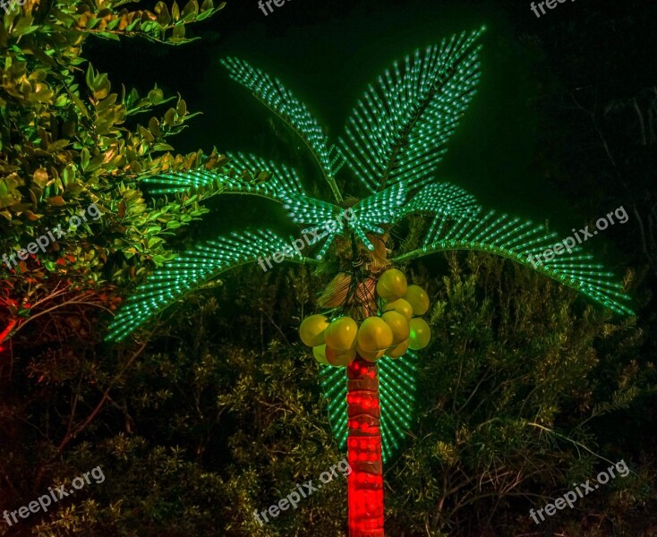 Holiday Decorations Botanical Gardens Florida Christmas