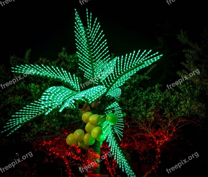 Holiday Decorations Botanical Gardens Florida Christmas