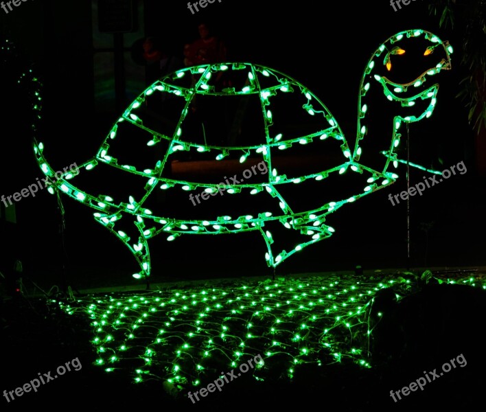 Christmas Decoration Holiday Turtle Night Photography Xmas