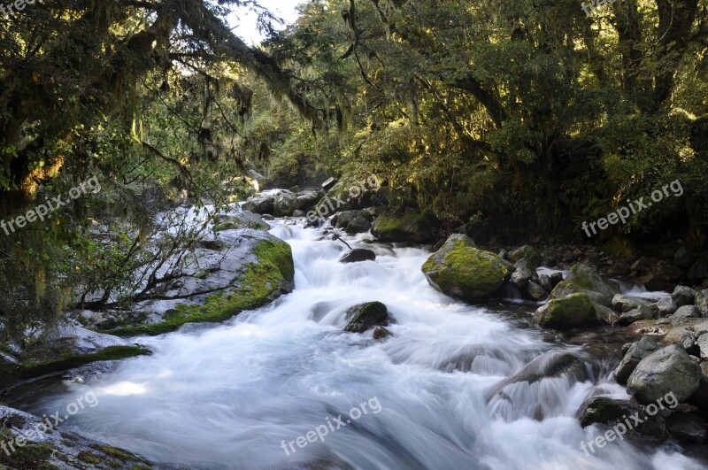 Nature Landscape Background Nature Landscape River Free Photos