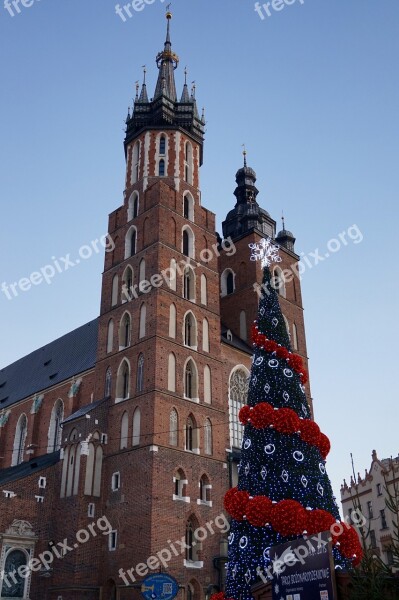 Christmas Tree Kraków Holidays Church Free Photos