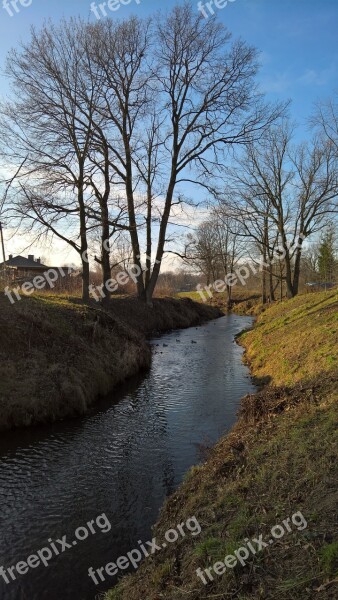 The Brook Tree River Poland Autumn