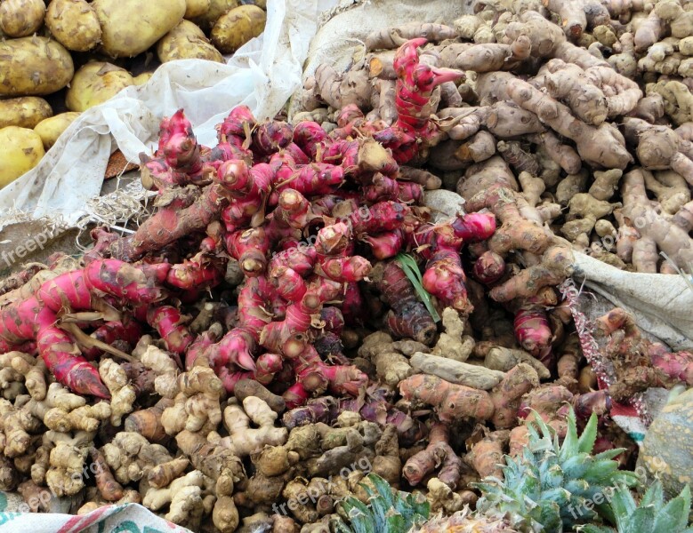 Viet Nam Spices Red Ginger Market The Roots