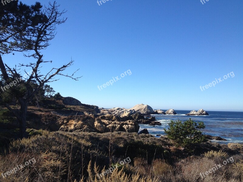 Big Sur California Trees Coastline Nature