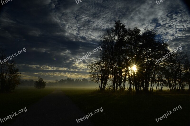 Dawn Park Trees Monza Park Light