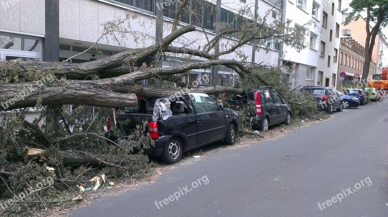 Fallen Tree Auto Forward Tornado Damage