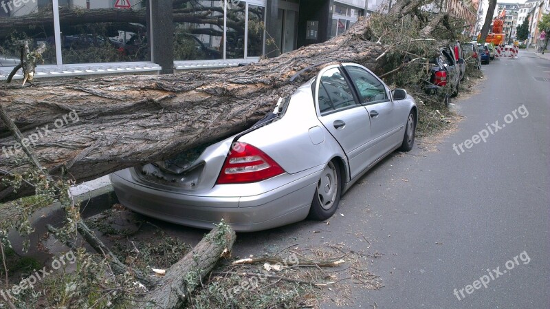 Fallen Tree Auto Forward Tornado Damage