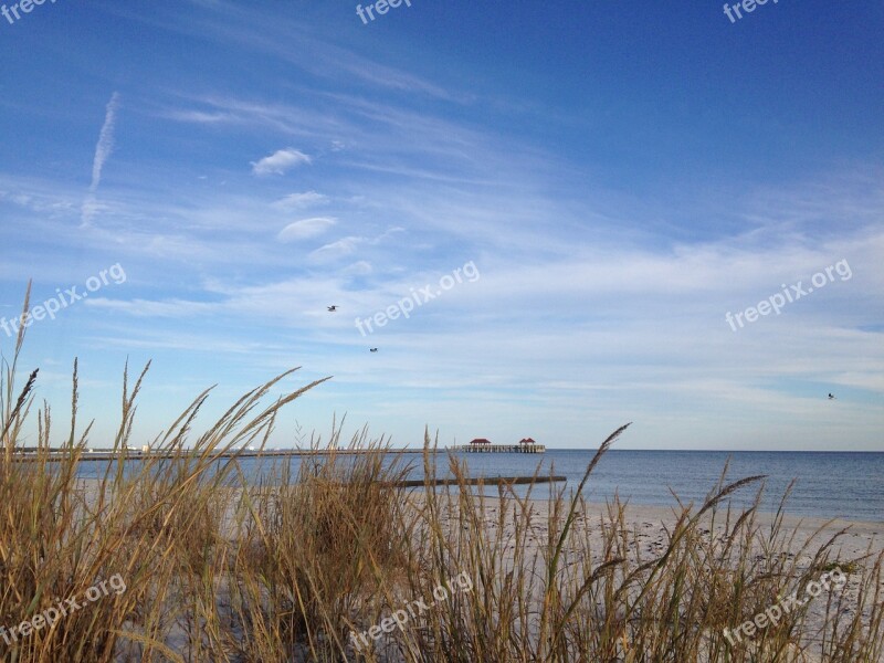 Gulf Coast Beach Sea Oats Ocean Sea