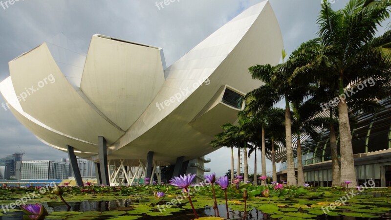 Singapore Lotus Flower Pond Landmark Free Photos