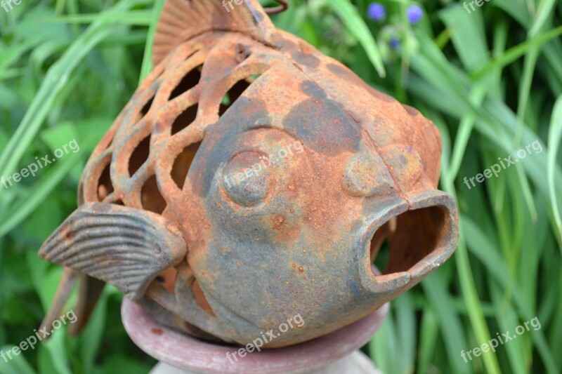 Fish Rustic Antique Artifact Rusty