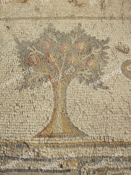 Ceasaria Mosaic Ancient Israel Free Photos