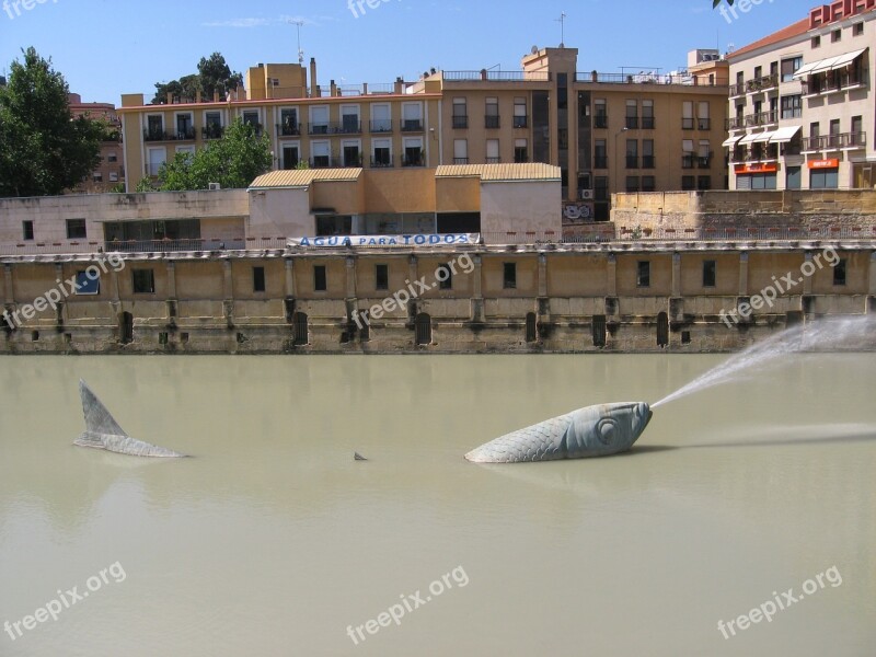 Sardine Safe River Monument Murcia