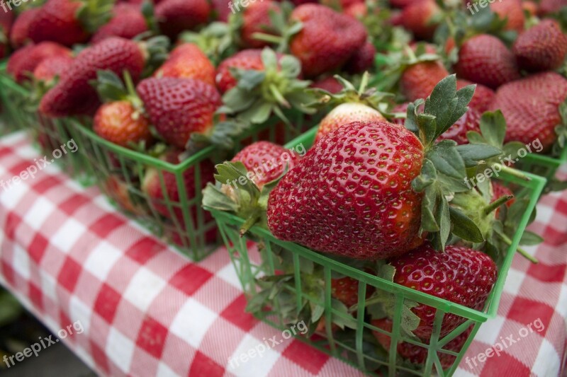 Strawberries Fruit Strawberry Berry Fresh Fruit