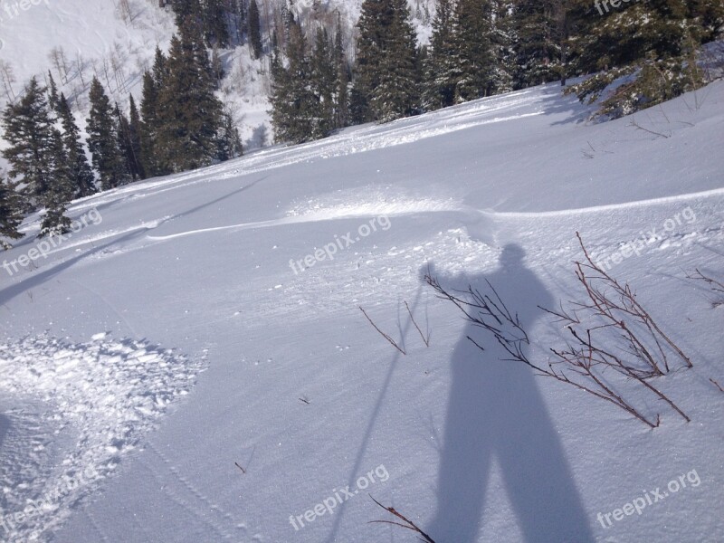 Ski Skiing Snow Powder Shadow