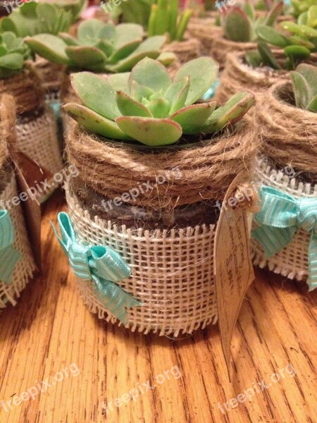 Succulent Favor Diy Baby Food Jar Burlap