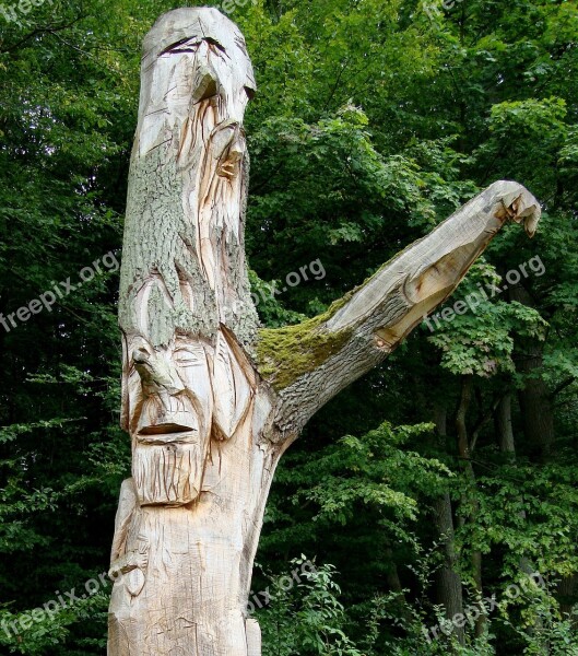 Tree Nature Sculpture The Art Of Handicraft