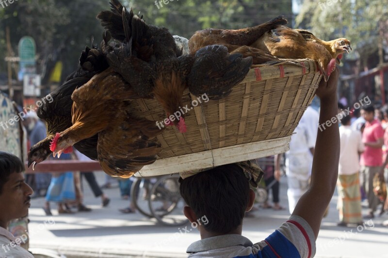 Dhaka Bangladesh Streets Basket Chicken