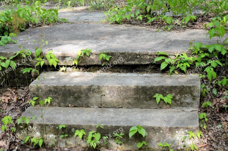 Nature Steps Outdoor Summer Green