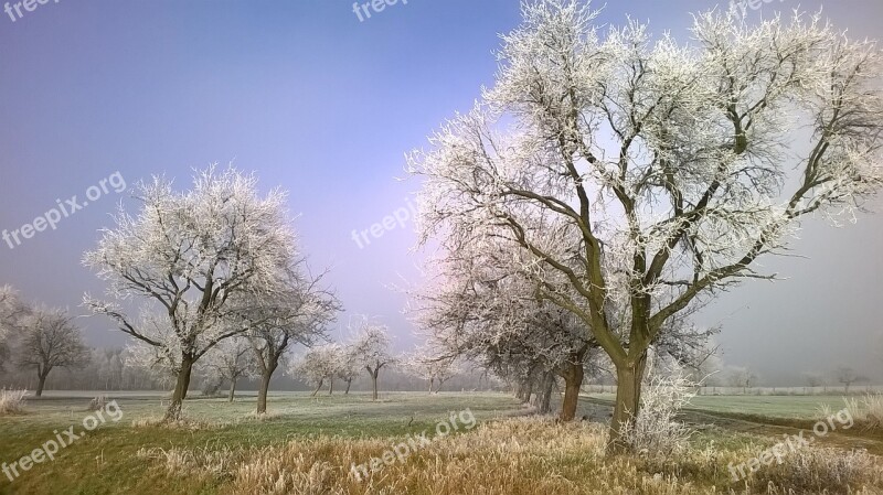 Frost Hoarfrost Winter Autumn November