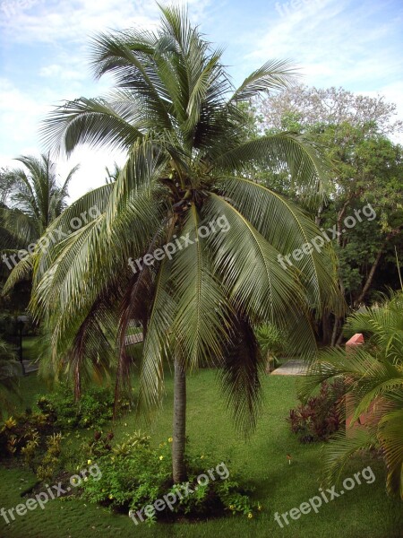 Palm Tropics Tropical Nature Vacations