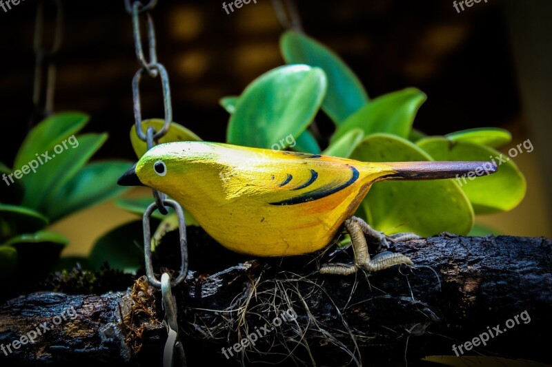 Paige Birdie Bird Nature Roof