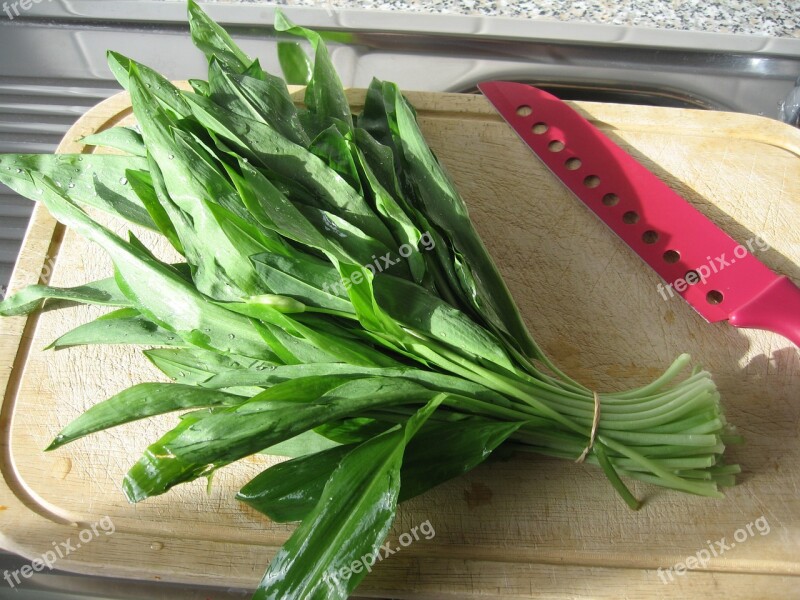 Bear's Garlic Spring Wild Garlic Medicinal Plant Garlic Leaves