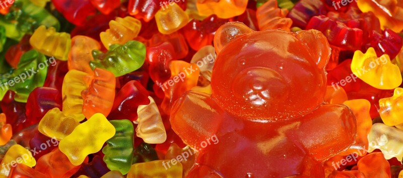 Giant Rubber Bear Gummibär Gummibärchen Gummi Bear Bear