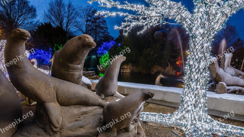 Sea Lion Statues Christmas Lights Zoo Festive Seasonal Holiday