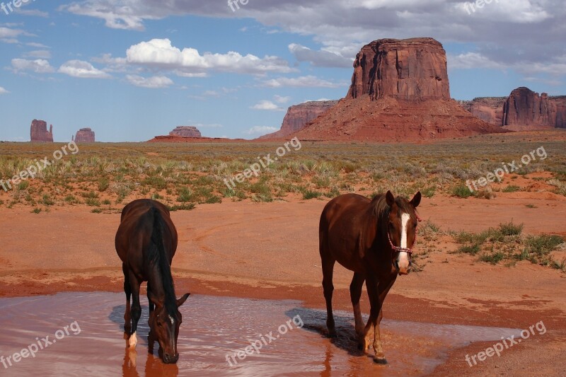 Monument Valley National Park Arizona Expensive Horse