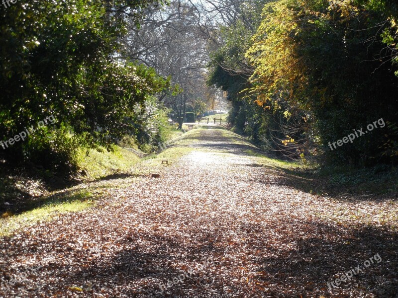 Walking Trail Bicycle Path Path Trail Bicycle