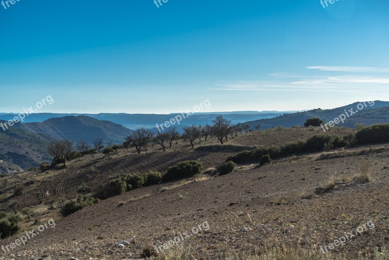 Horizon Landscape Plateau Olive Trees Sky