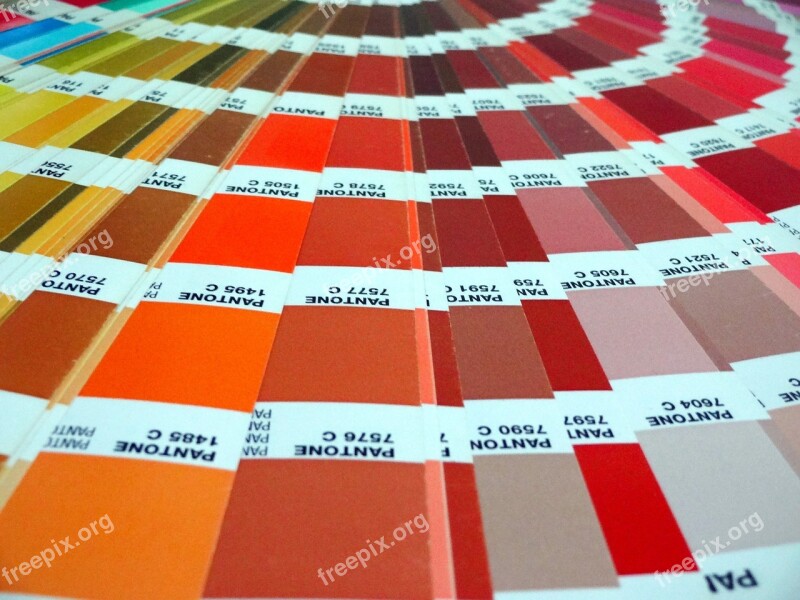 Nuance Swatches Pantone Color Free Photos