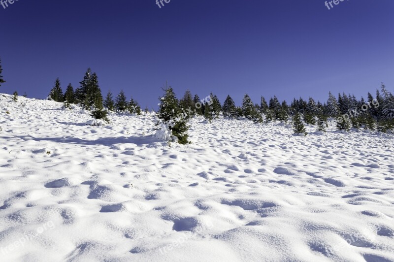 Winter Scene Mountain Wonderland Forest