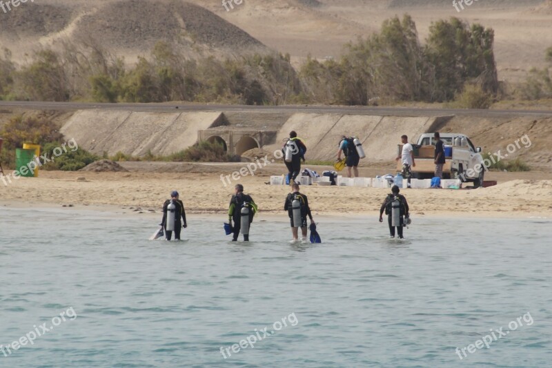 Diver Sea Desert Diving Egypt