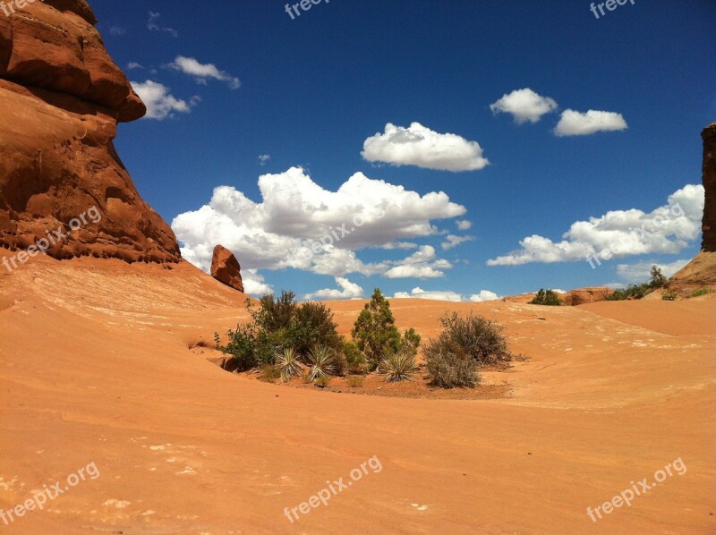 Landscape Dessert Oasis Sky Blue