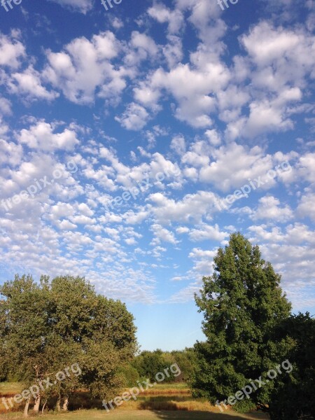 Outside Blue Sky White Clouds Trees Cottonwoods