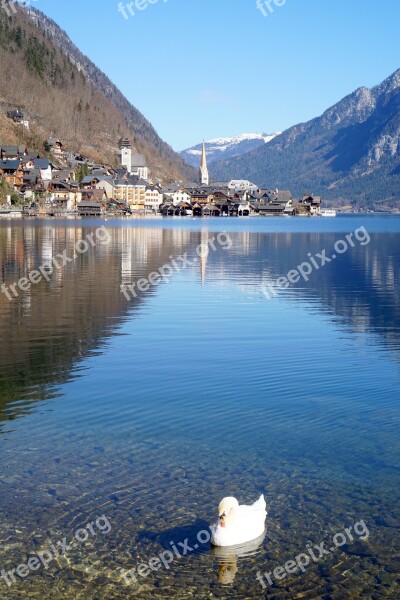 Swan Lake Hamlet Village Blue Sky