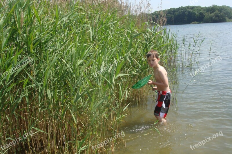 Boy Fish Natural Water Adventure Reed