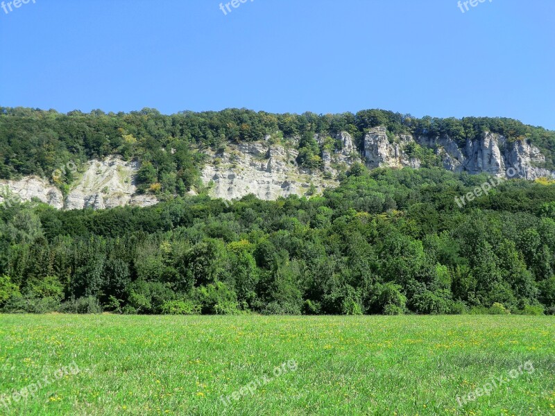 Meadow Summer Rock Wall Grass Green