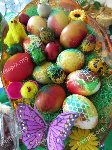 Easter Eggs Chick Holiday Spring